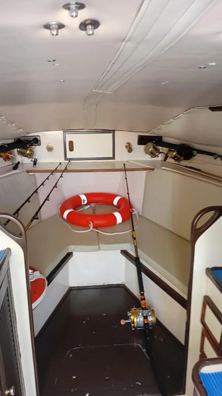 Detalle de 33 Ft Coral Dream 3