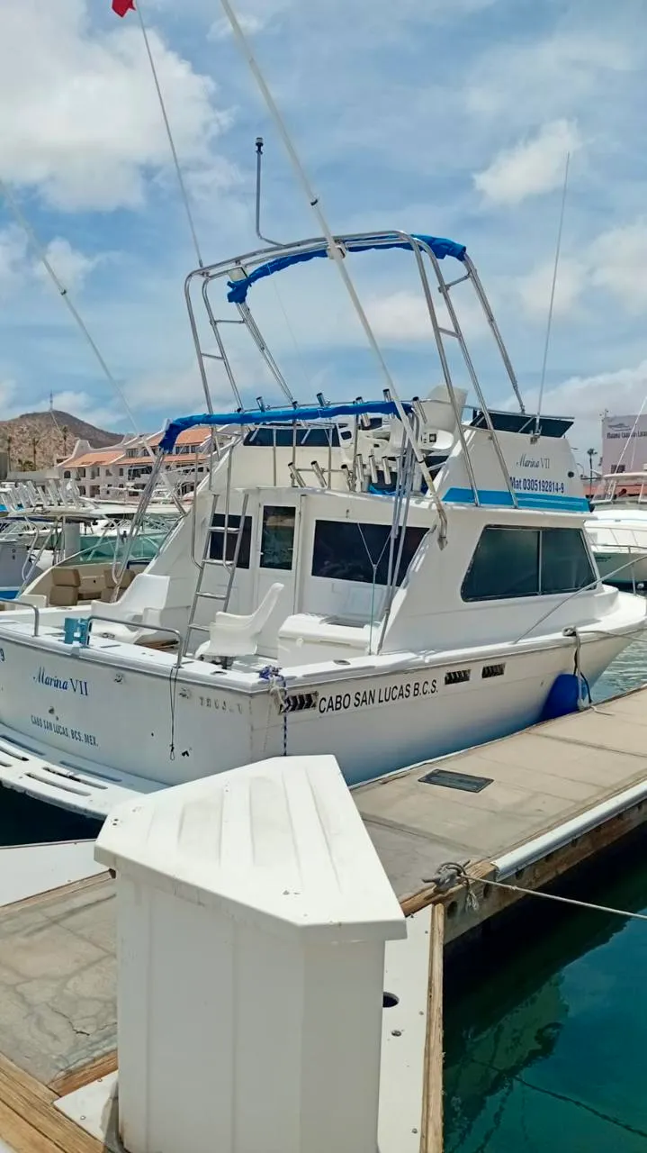 31 Ft Trojan Marina VII