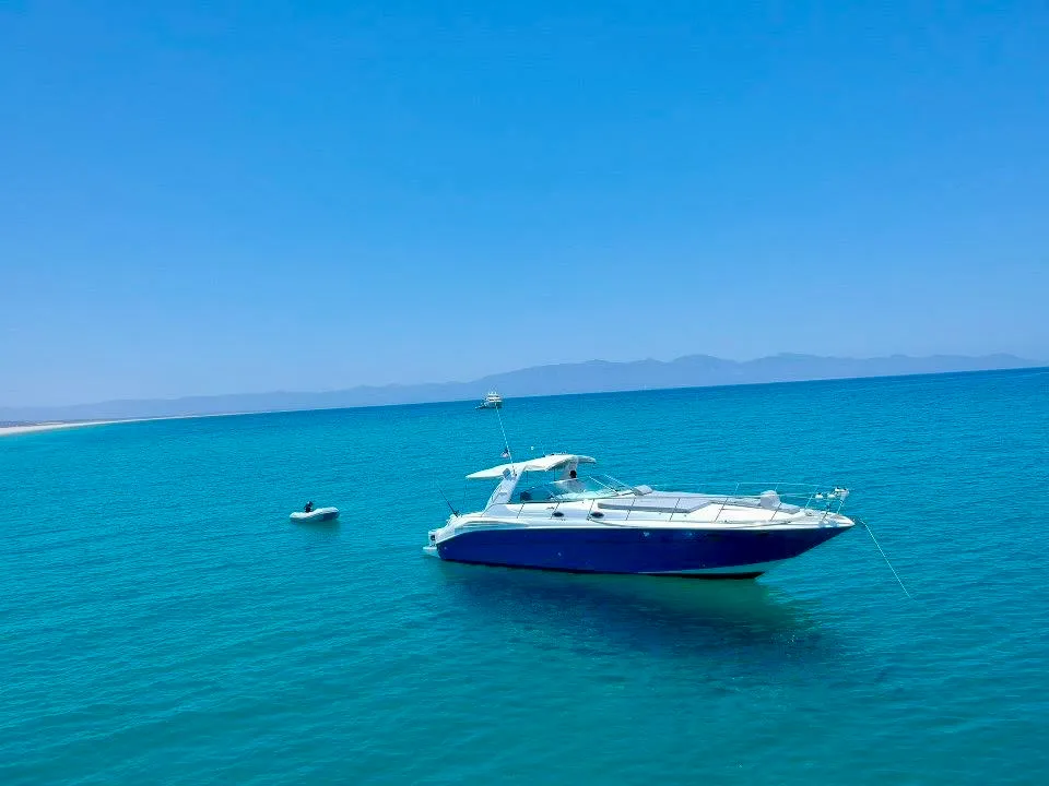 47 Ft Ojos Azules